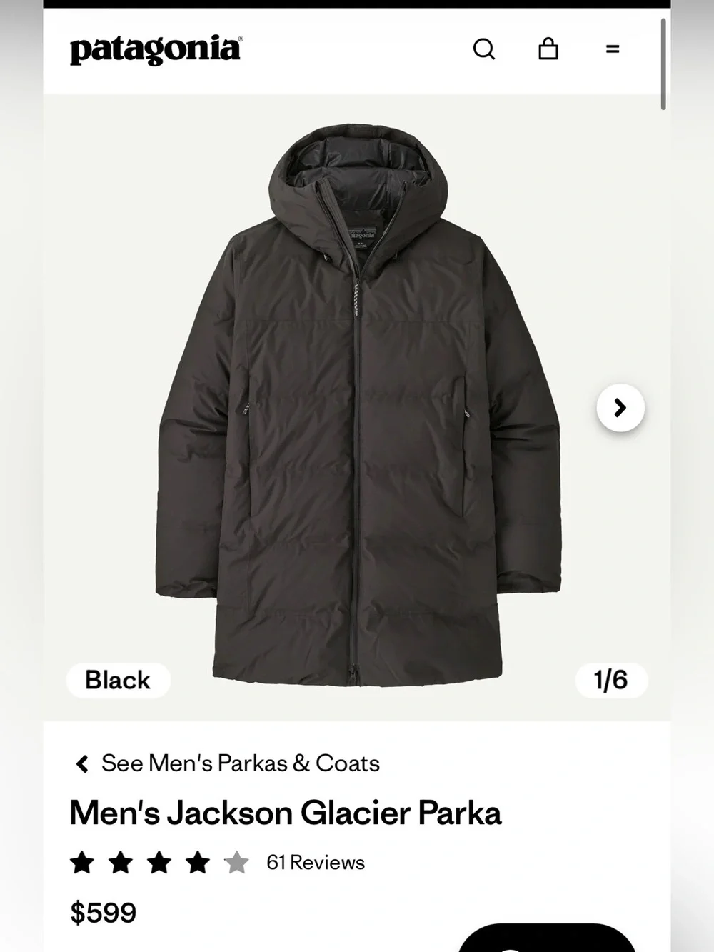 NWT! Patagonia Men's Jackson Glacier Parka!